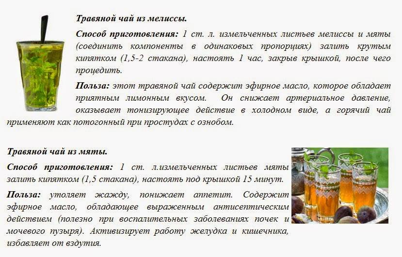 Как правильно пить настойку