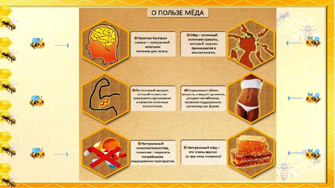 Сорта самых вкусных и полезных видов меда