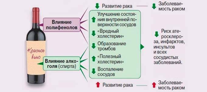 Какое вино пить при повышенном давлении. Красное сухое вино от давления. Вино повышает или понижает давление. Вино повышает давление или снижает. Красное вино повышает или понижает.