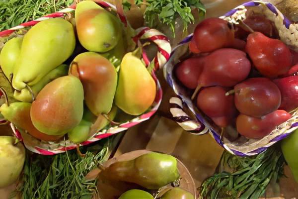 Неоценимая польза груш и возможный вред для организма