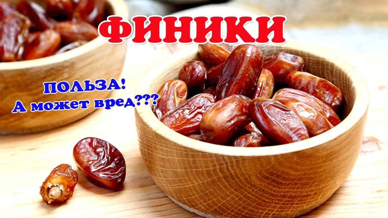 Финики: польза и вред для организма человека.