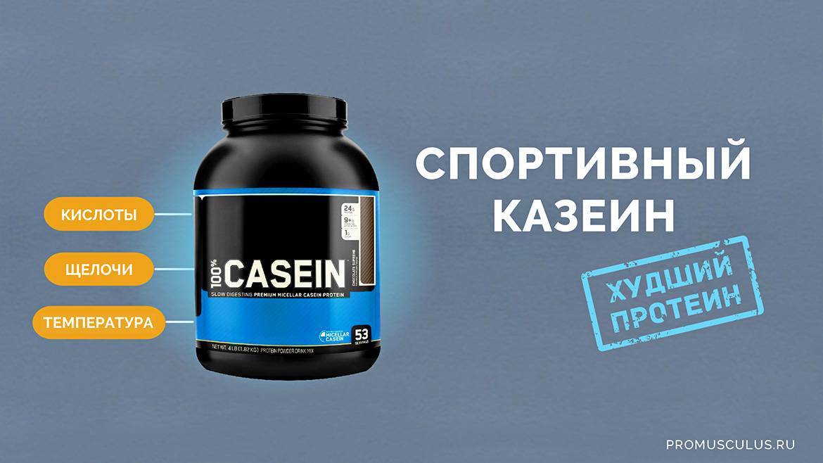 Казеиновый протеин - что это? прием, польза и как выбрать