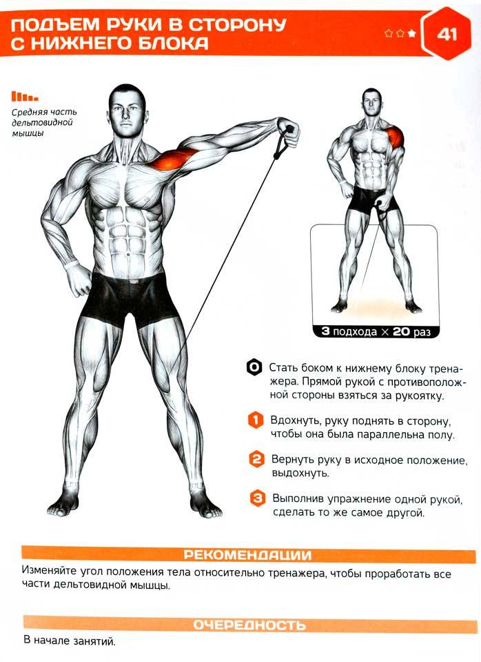 Жим гантелей лежа на полу