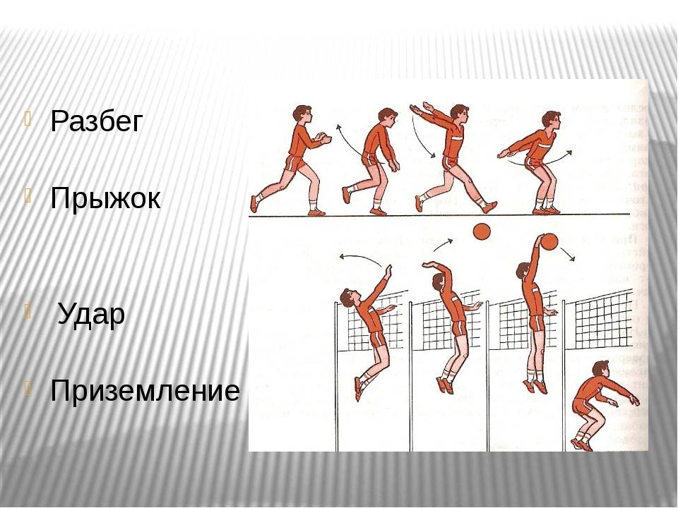Как прыгнуть в высоту выше. как научиться высоко прыгать? тренировка прыгучести