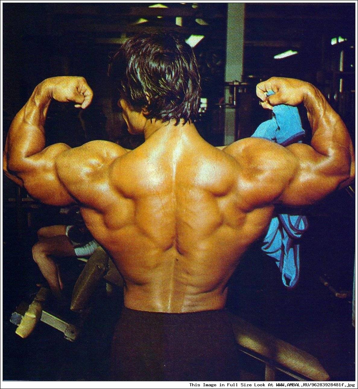 Дени падилла — убийца гигантов