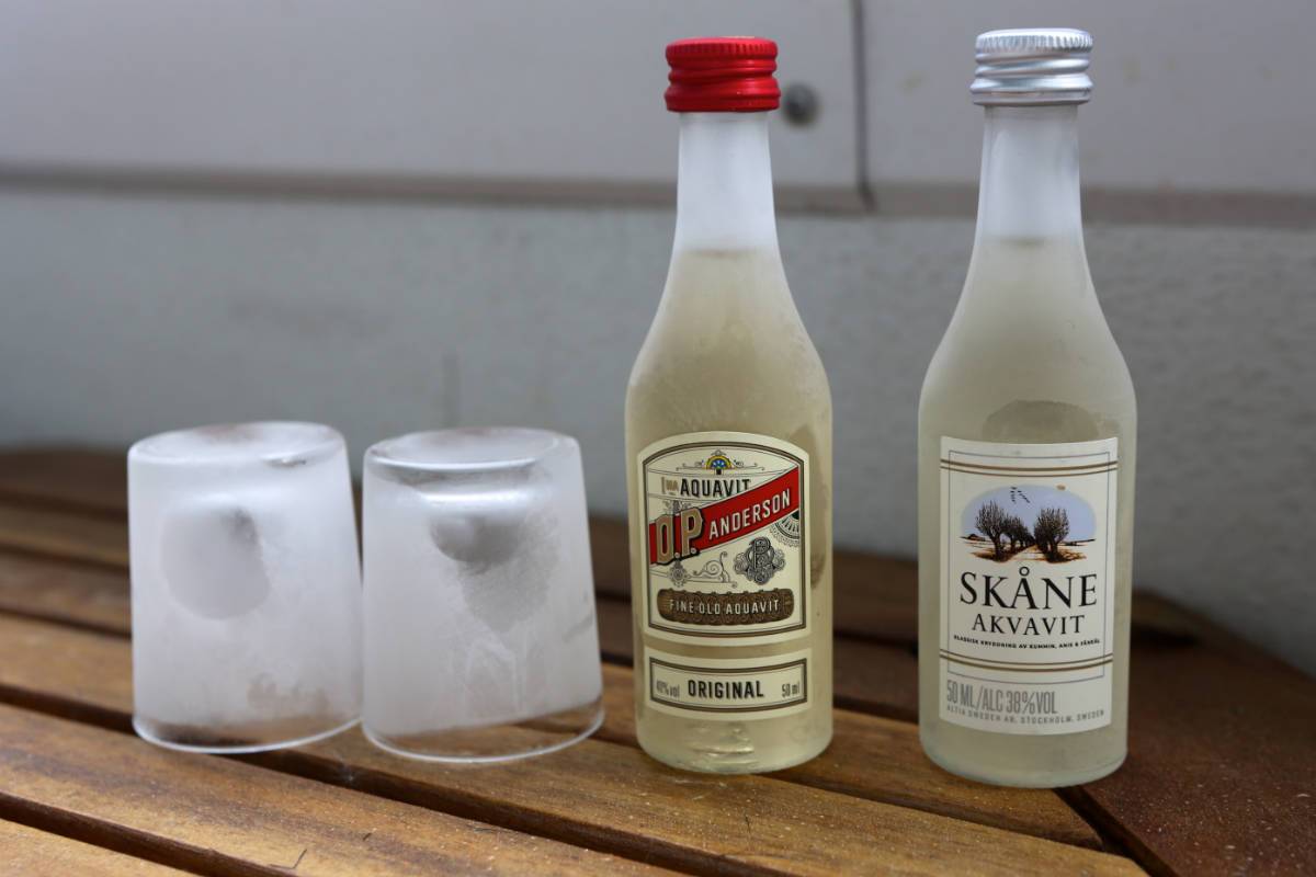 Пиво велкопоповицкий козел: история, виды и как пить