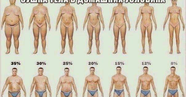 Процент жира в организме женщины и мужчины, фото примеры