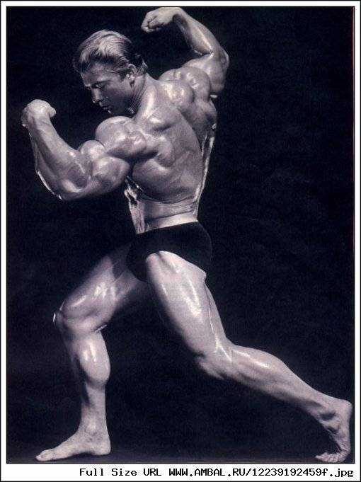 Мистер олимпия 1965-2016 результаты за все года