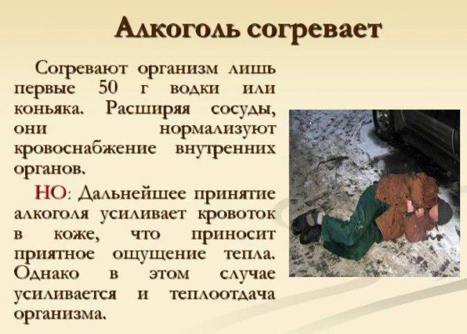 Что делает алкоголь с сосудами: расширяет или сужает их — обзор 7 спиртных напитков