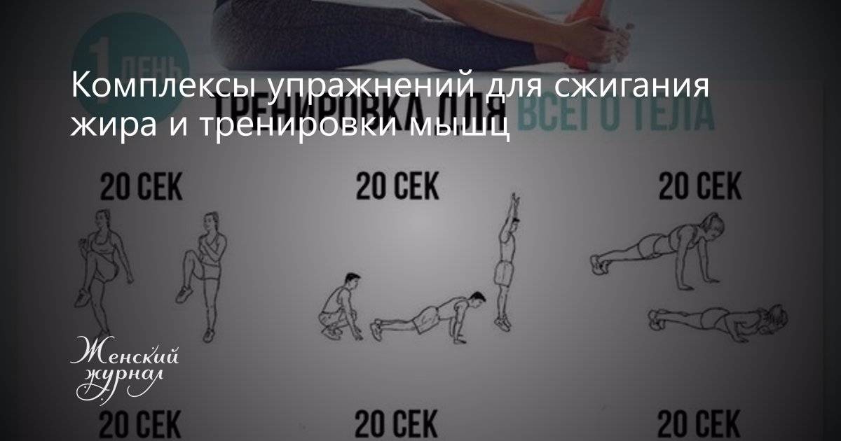 Самое лучшее средство – кардио тренировка для сжигания жира в тренажерном зале для девушек