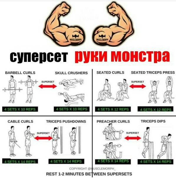 Упражнения на спину в тренажерном зале для мужчин на рельеф с картинками