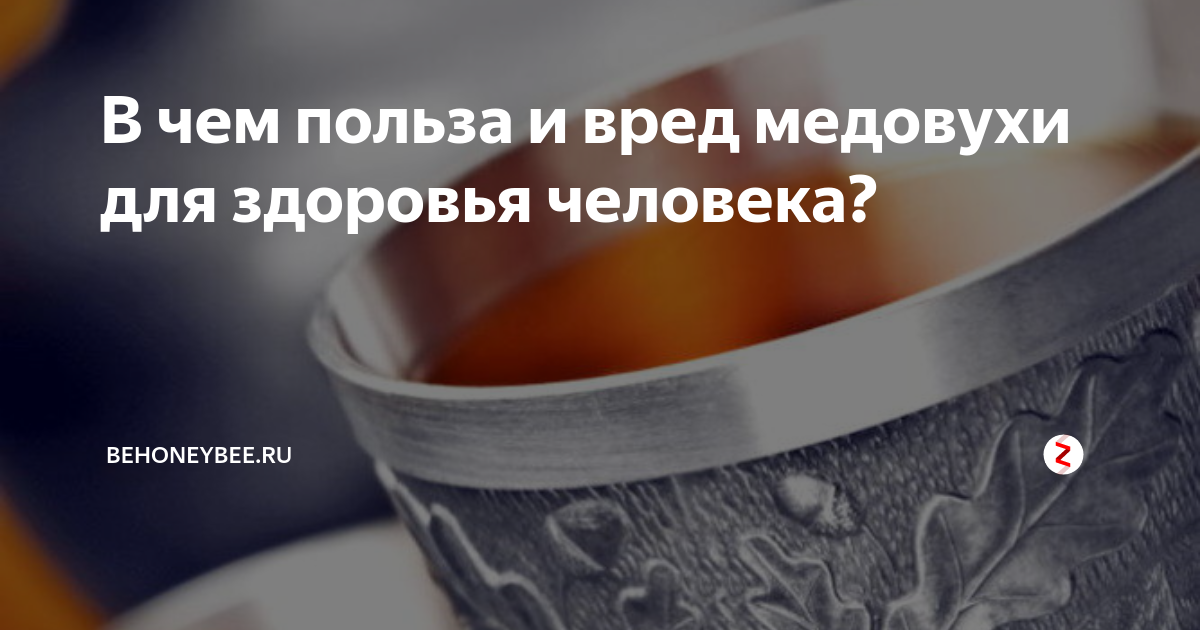 Медовуха: ее особенности, польза и вред для человека