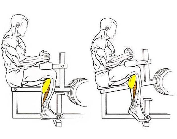 Сгибание ног в тренажере сидя
