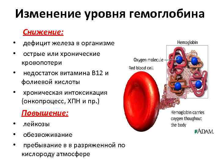 Картинки железа в крови