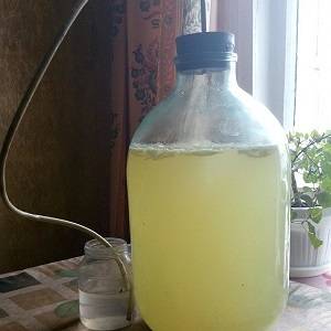 Вино из березового сока с изюмом