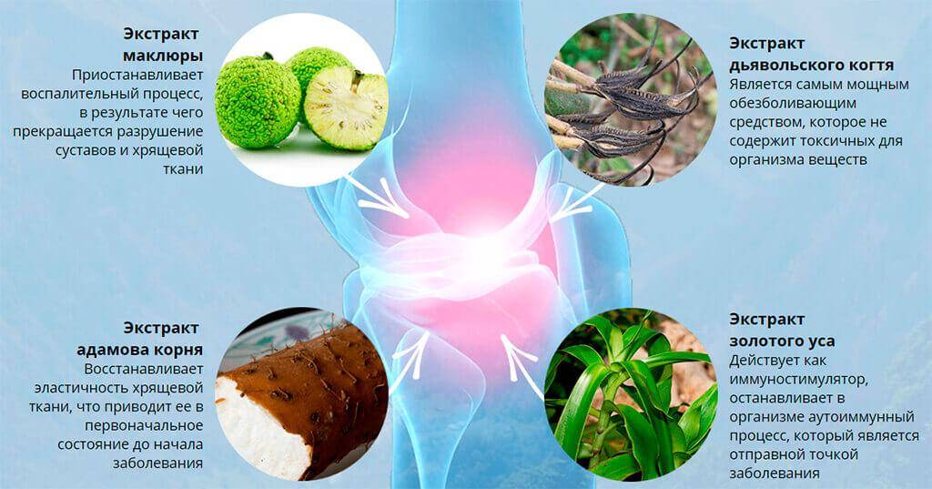 Продукты для суставов, хрящей и тканей связок: полезное питание, какая еда вредна, что нужно есть для восполнения витаминов, что кушать нельзя? | статья от врача