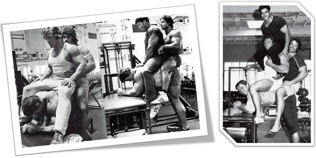 Упражнение ослик на икры в бодибилдинге — техника, работа мышц