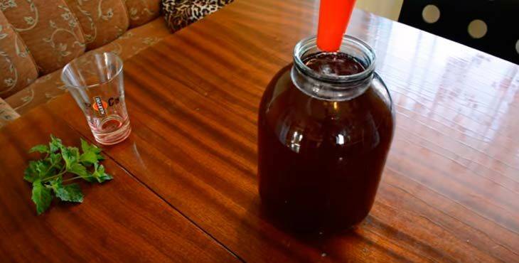 Домашняя наливка ягодка из крыжовника: рецепт приготовления