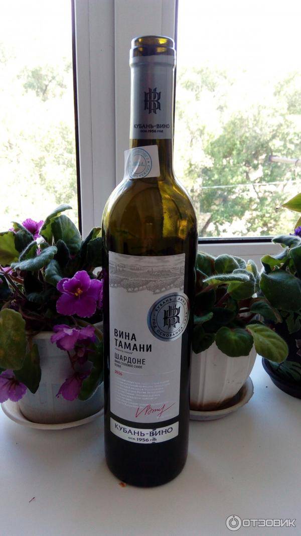 Шардоне (chardonnay). сорт винограда и вино из него