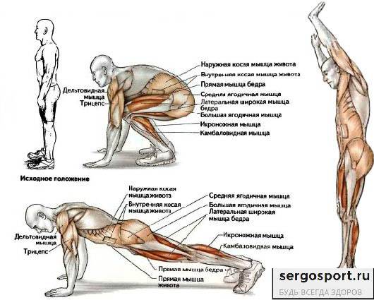 Техника выполнения берпи (бурпи, burpee)