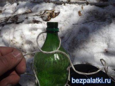 Вино из березового сока в домашних условиях: секреты рецепта