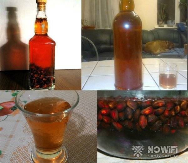 Самогон на кедровых орехах: рецепт на 3 литровую банку в домашних условиях
