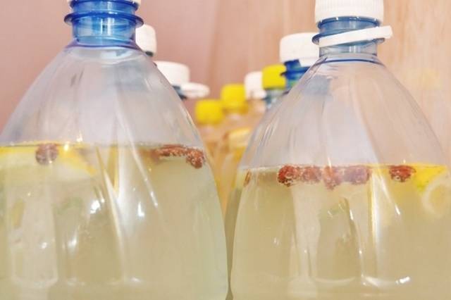 Березовый сок: 8 рецептов приготовления домашней консервации