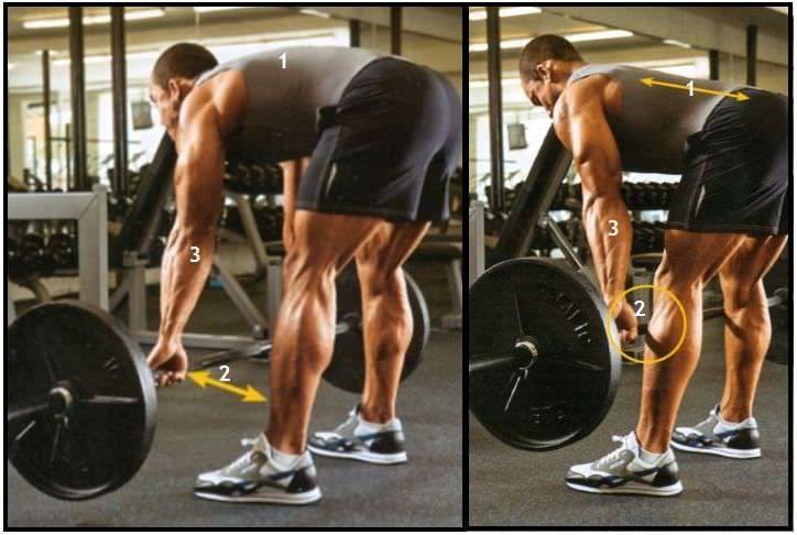Румынская тяга: видео и фото упражнения