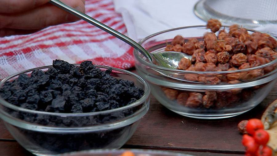 Народные рецепты из рябины красной