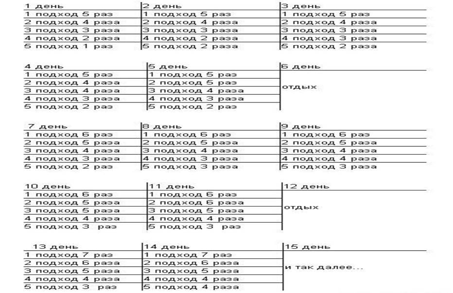 Упражнения, которые нужно делать, чтобы научиться подтягиваться на турнике и увеличить количество повторений в подходе