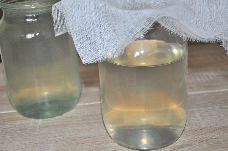 Вино из березового сока. рецепты, по которым можно приготовить березовое вино в домашних условиях.