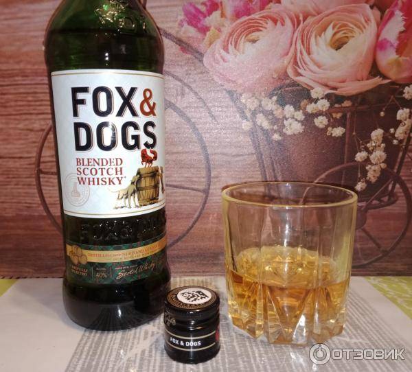Виски догс и фокс фото