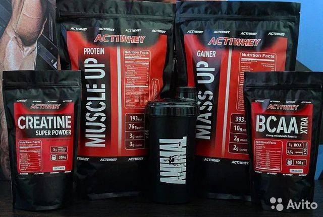 Протеин или гейнер — что лучше выбрать новичку?