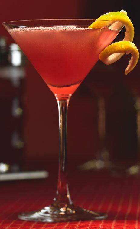 Коктейли с мартини – 18 рецептов