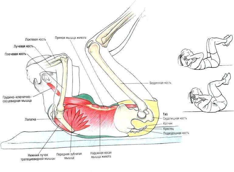 Подъём ног в висе для эффективной проработки пресса
