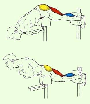 Гиперэкстензия - техника выполнения, польза и вред гиперэкстензии для позвоночника. гиперэкстензия. укрепляем мышечный корсет спины