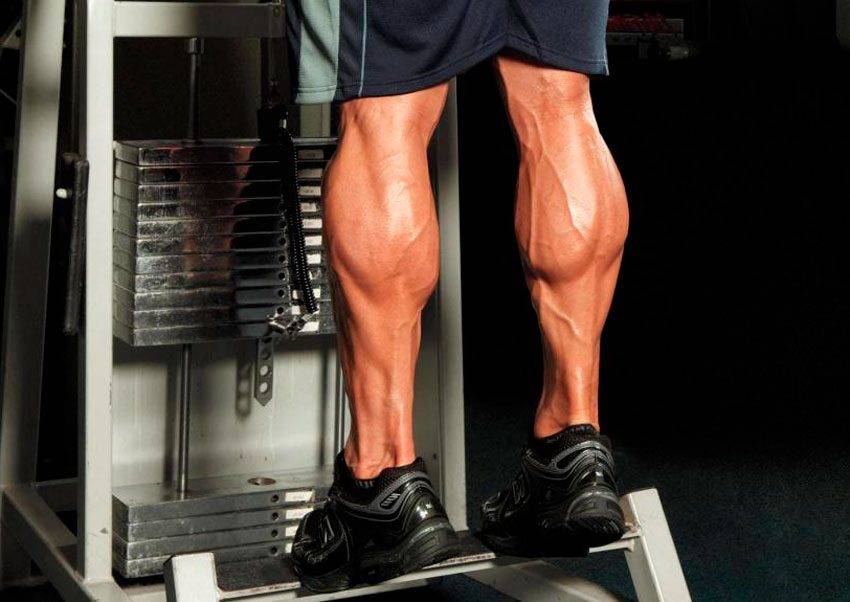 Топ-20 упражнений для ног и ягодиц с гантелями (для дома и зала)