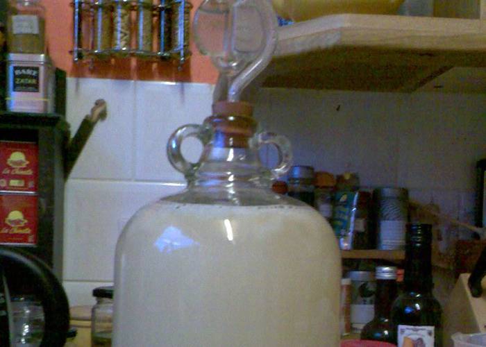 Вино из крыжовника в домашних условиях простой рецепт. как приготовить вкусное домашнее вино из черного, красного и зеленого крыжовника с дрожжами и без дрожжей?