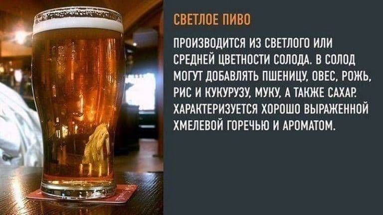 Ром олд монк: история, обзор видов + интересные факты