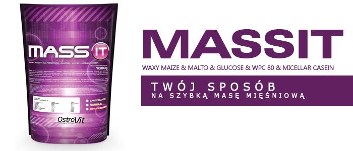 Special mass gainer от maxler
