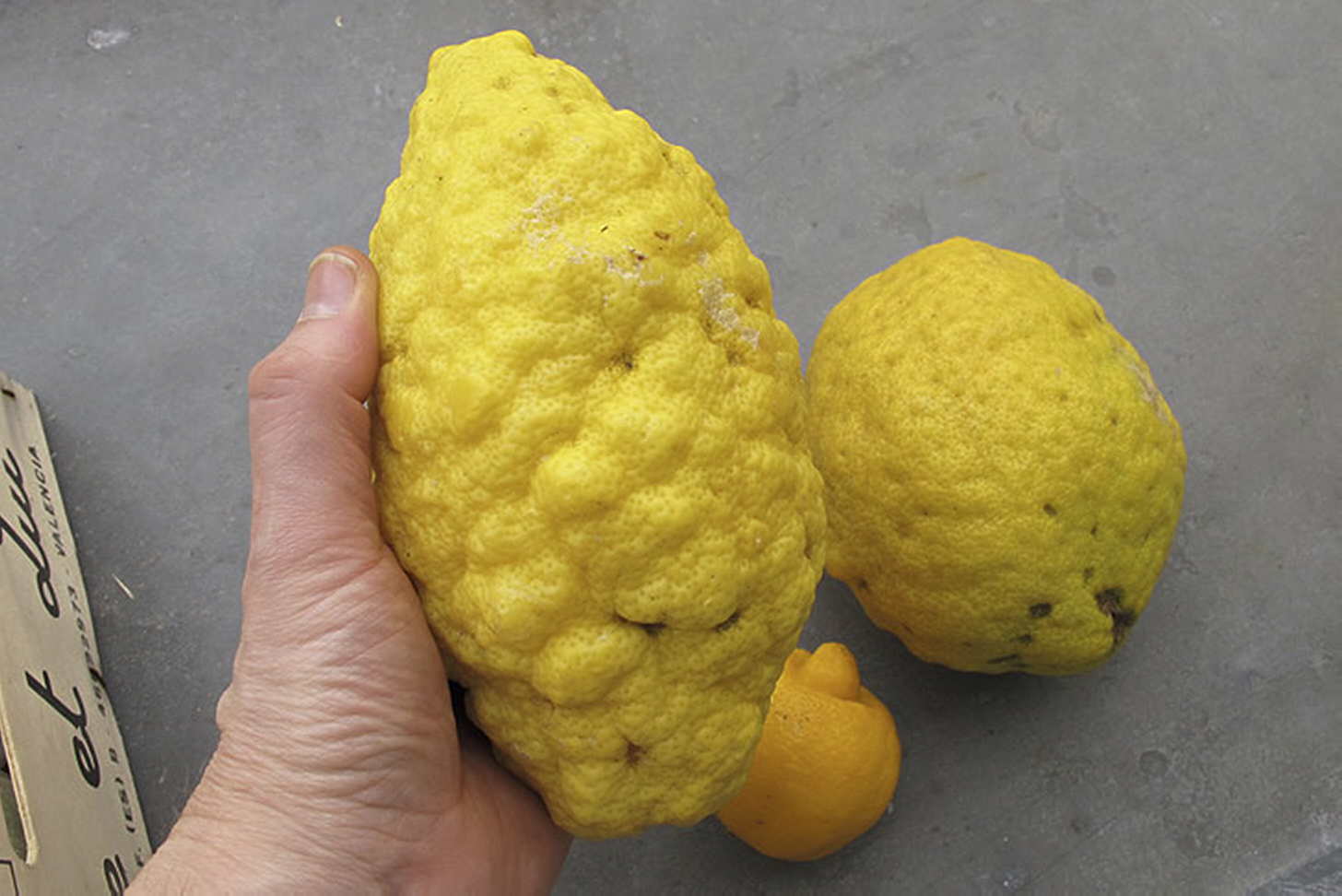 Сколько алкоголя в кефире: развенчиваем мифы