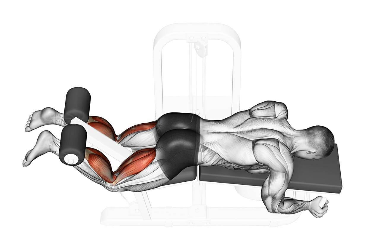 Сведение ног в тренажере