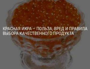 Красная икра: польза и вред для организма, калорийность, состав