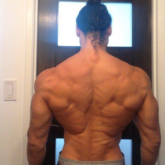 Майк ментцер: биография, супертренинг, программа тренировок