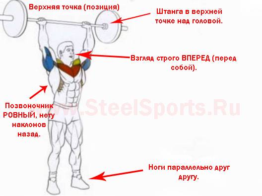 Фронтальные приседания со штангой: техника выполнения, работающие мышцы, польза