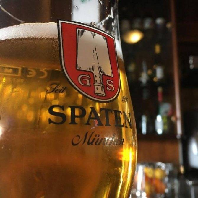 Виски макаллан (macallan): история, обзор вкуса и видов + как отличить подделку