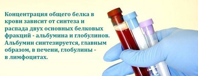 Как понизить белок в крови – 8 продуктов, правильная диета и народные средства при его повышенном уровне