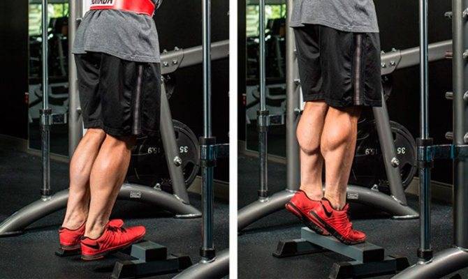 Как накачать икры ног мужчине в домашних условиях быстро: упражнения