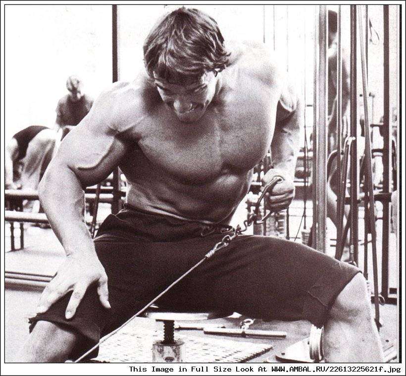 Скандинавская ходьба — путь к здоровью