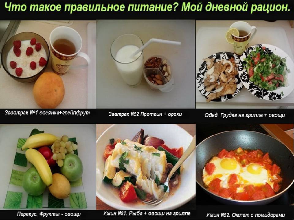 Правильный завтрак для похудения: меню на каждый день и рецепты блюд